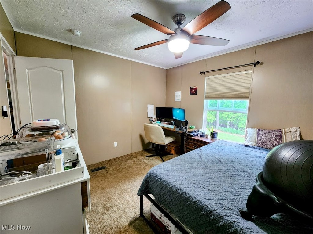 62525 Institute Road, Lore City, Ohio image 23