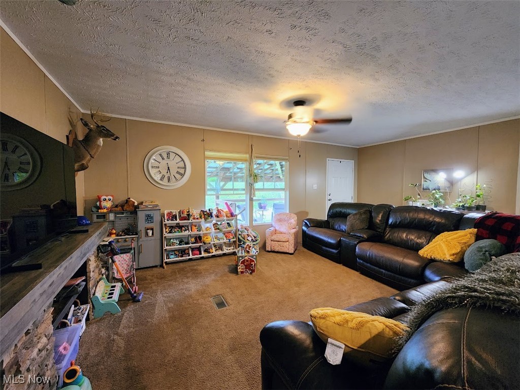 62525 Institute Road, Lore City, Ohio image 5