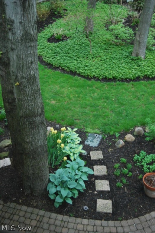 Carriage Pk Oval - Residential