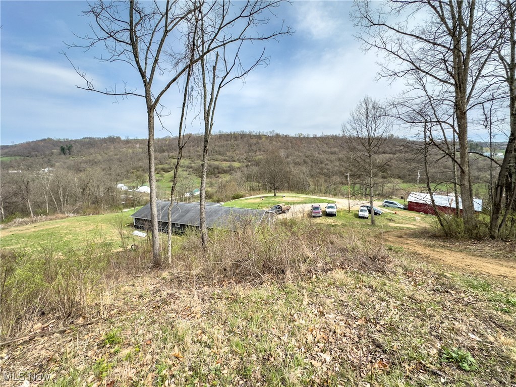 56567 Whiskey Run Road, Quaker City, Ohio image 30