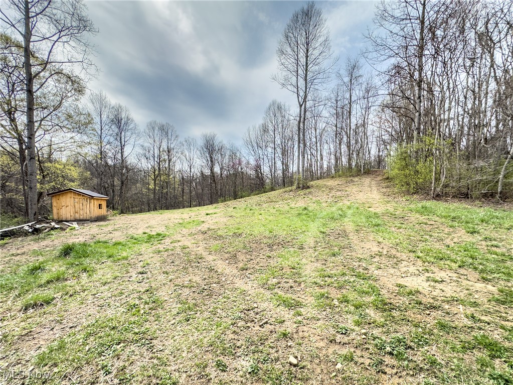 56567 Whiskey Run Road, Quaker City, Ohio image 31