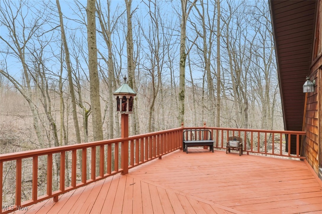 12172 Concord Hambden Road, Painesville, Ohio image 37