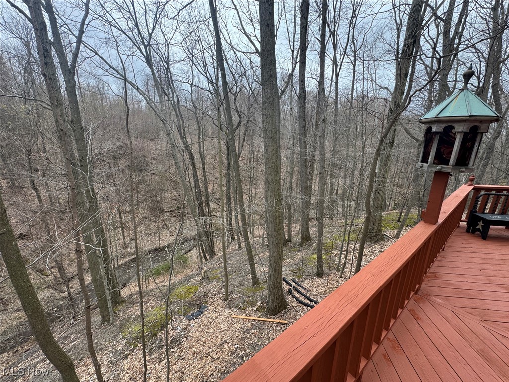 12172 Concord Hambden Road, Painesville, Ohio image 45