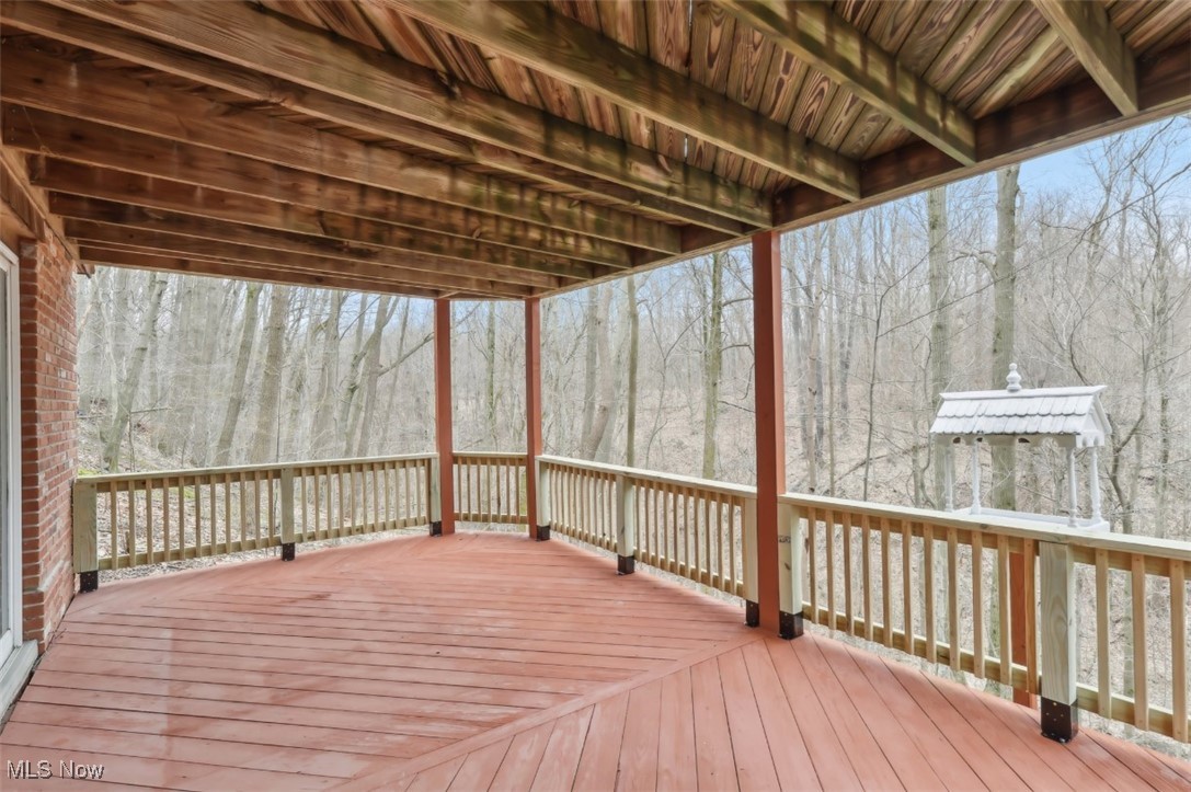 12172 Concord Hambden Road, Painesville, Ohio image 38