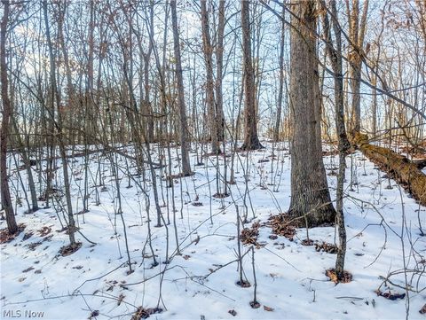 Vacant Land For Sale - 0 TRACT 16 Ch 59<br/> Cutler, OH 45724