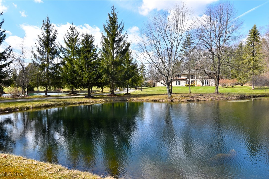 9580 Stafford Road, Chagrin Falls, Ohio image 1