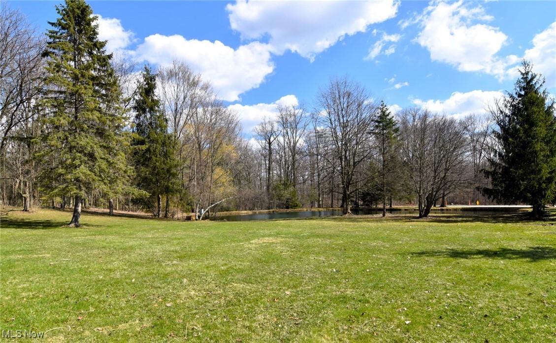 9580 Stafford Road, Chagrin Falls, Ohio image 29