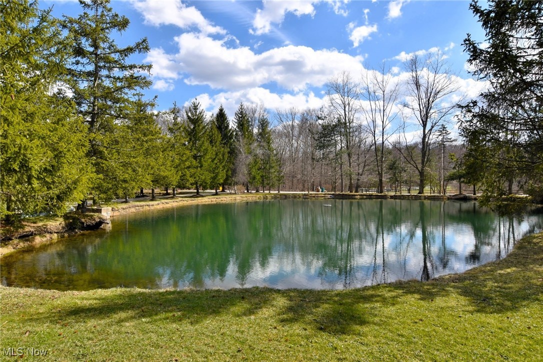 9580 Stafford Road, Chagrin Falls, Ohio image 27