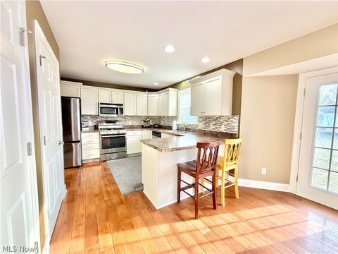 Tiny photo for 3410 Florences Way Court, Perry, OH 44081 (MLS # 5191582)