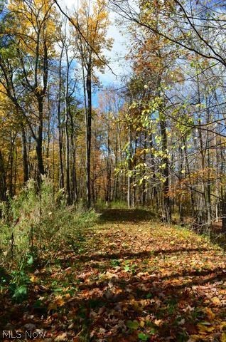 Hathaway Tract - Land