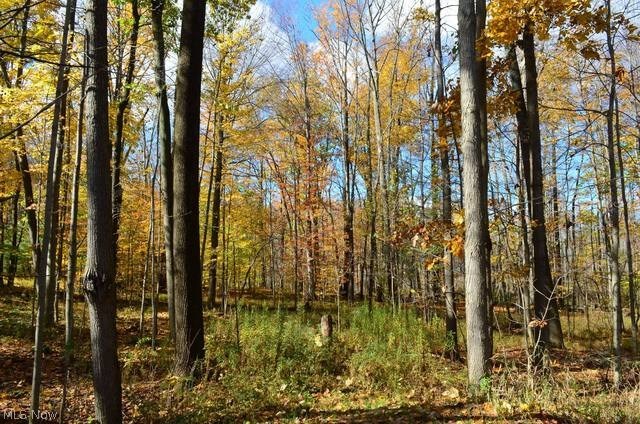 Hathaway Tract - Land