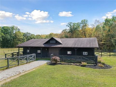 Tiny photo for 550 Warner Road SE, Vienna, OH 44403 (MLS # 5187925)