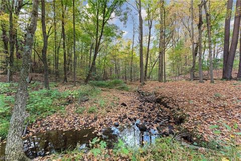 Tiny photo for 550 Warner Road SE, Vienna, OH 44403 (MLS # 5187925)