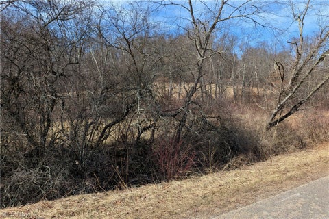 Vacant Land For Sale - Stonecreek Road<br/> Newcomerstown, OH 43840