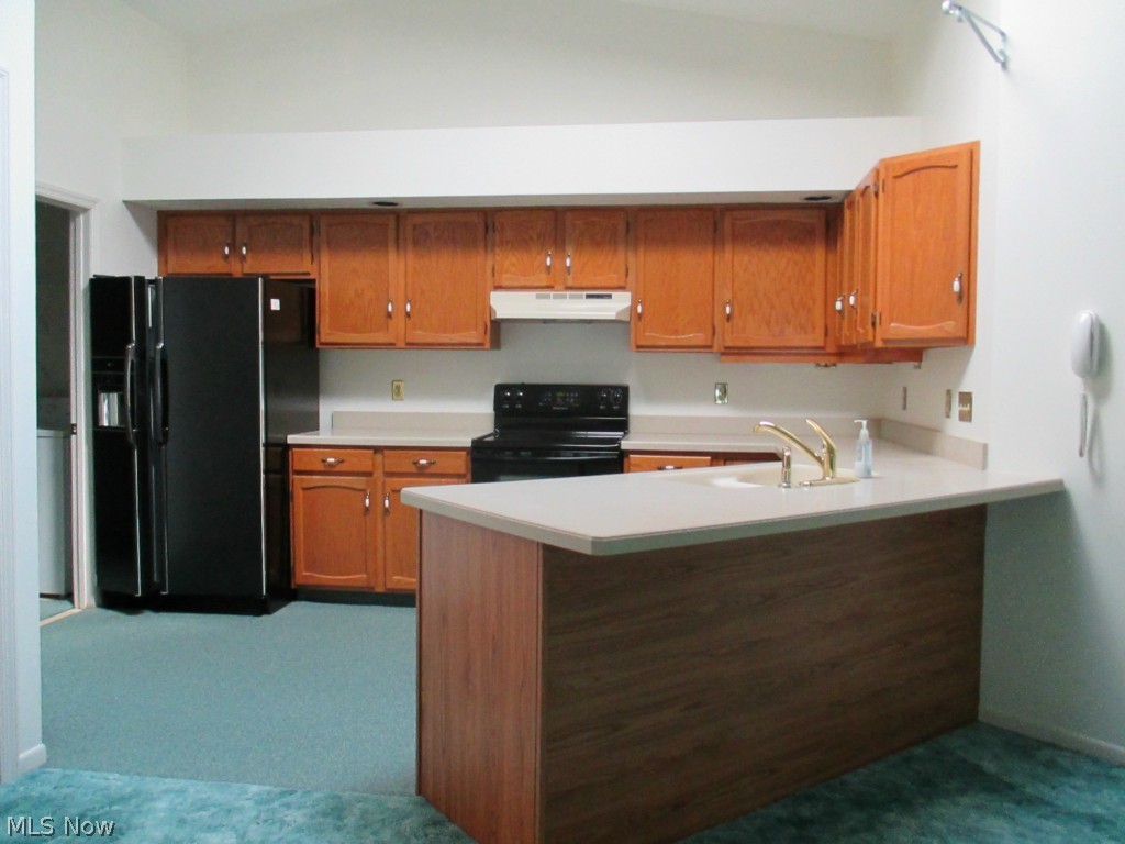 Pineview Village Condo - Residential