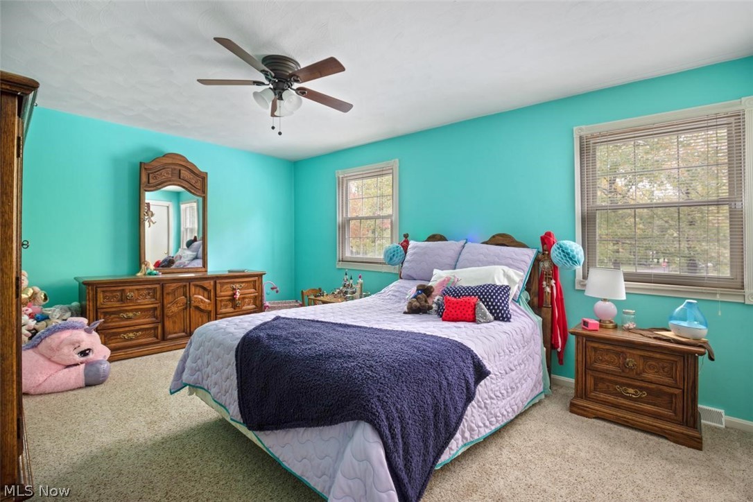 City Canfield - Residential