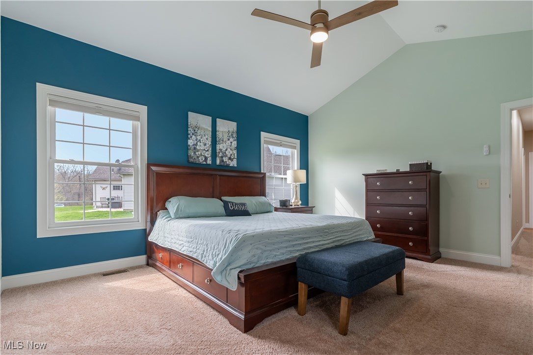 317 Alissa Lane, Canal Fulton, Ohio image 18