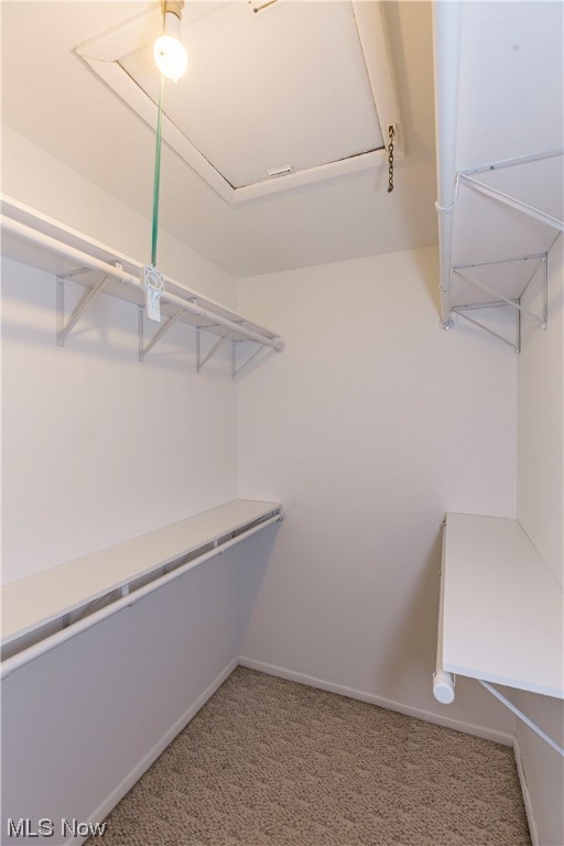 Brunswick Meadows - Residential