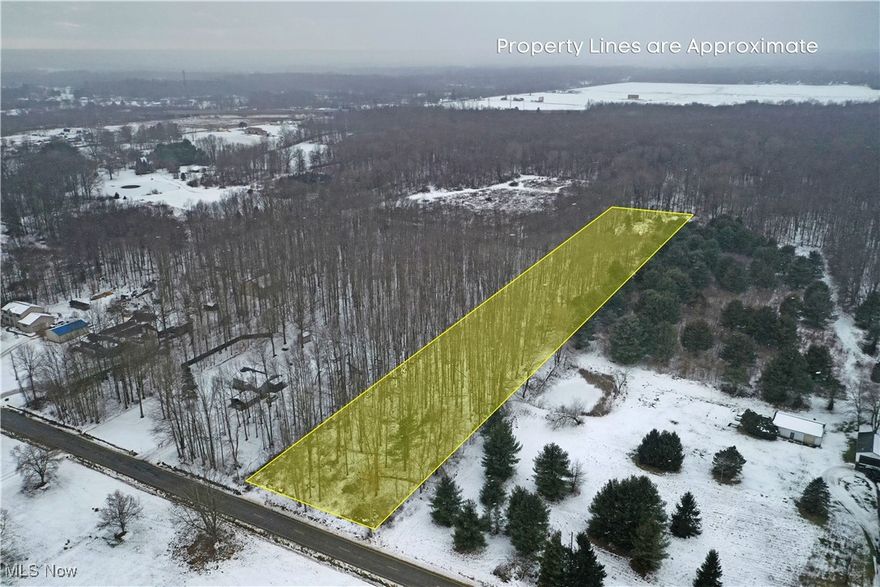 Discover the perfect canvas for your next project with this 3-acre parcel of vacant wooded land in Newton Falls. Situated on a spacious rectangular lot, this property offers plenty of room for building your dream home, a weekend getaway, or simply enjoying the tranquility of nature. The land is lush with mature trees and wildlife, providing both privacy and the potential for development. Located in a peaceful area, yet close to local amenities, this is an opportunity to own a slice of Ohio's natural beauty. Whether you're looking to create your own private retreat or invest in a growing community, this lot has endless possibilities!