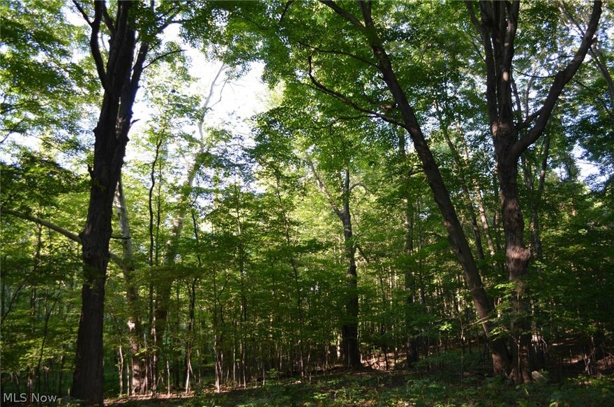 36.7 acres with 30 X 60 pole barn