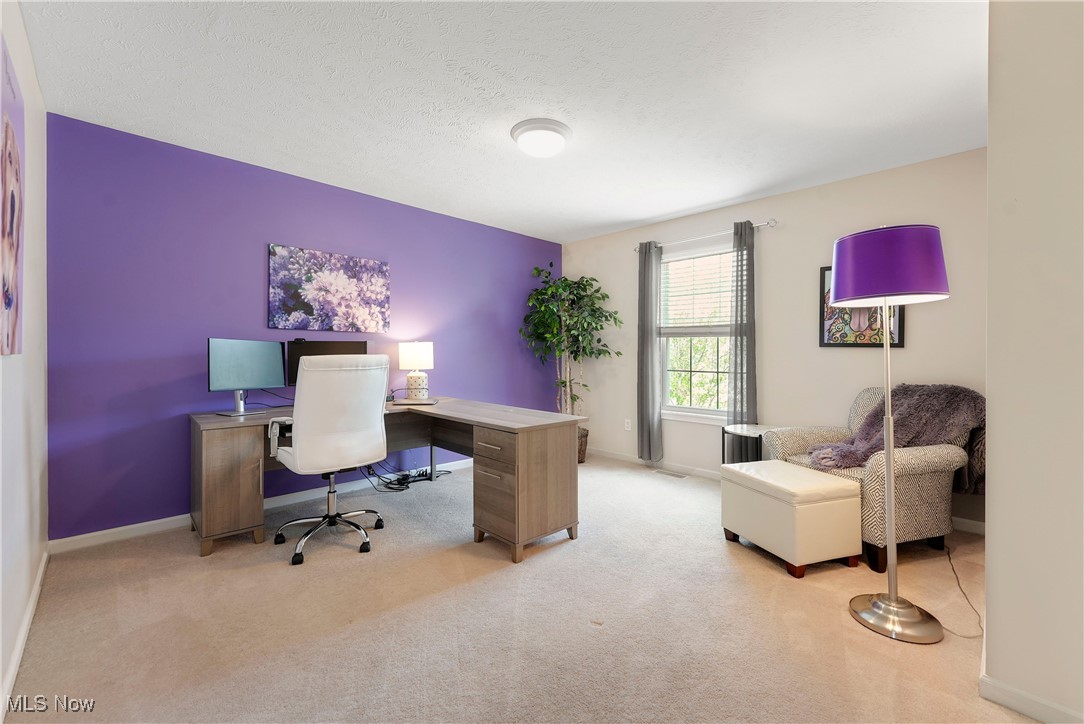 1486 Park Ridge Avenue, Twinsburg, Ohio image 30