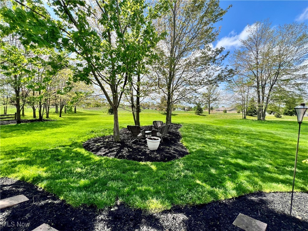 1486 Park Ridge Avenue, Twinsburg, Ohio image 39