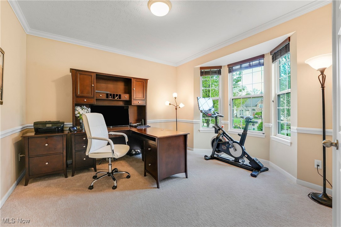 1486 Park Ridge Avenue, Twinsburg, Ohio image 17