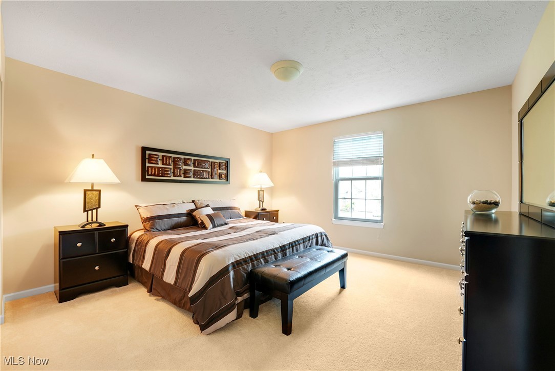 1486 Park Ridge Avenue, Twinsburg, Ohio image 28