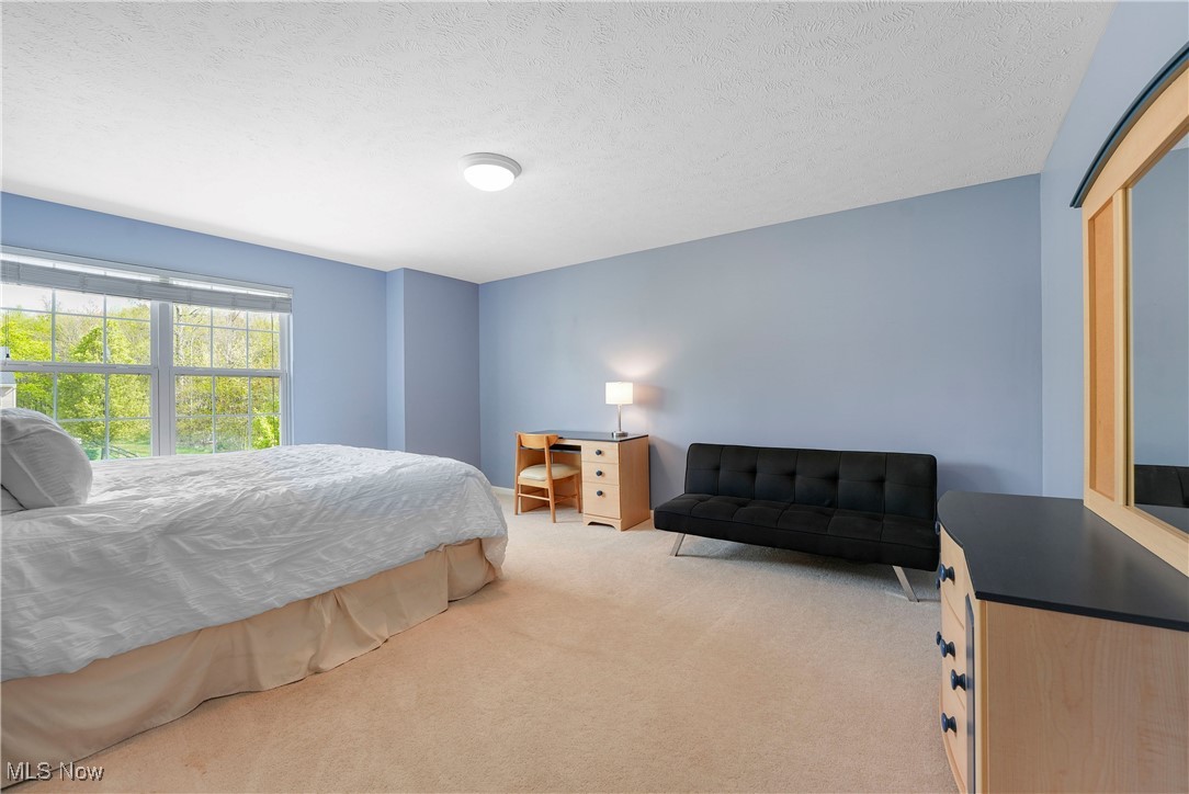 1486 Park Ridge Avenue, Twinsburg, Ohio image 29