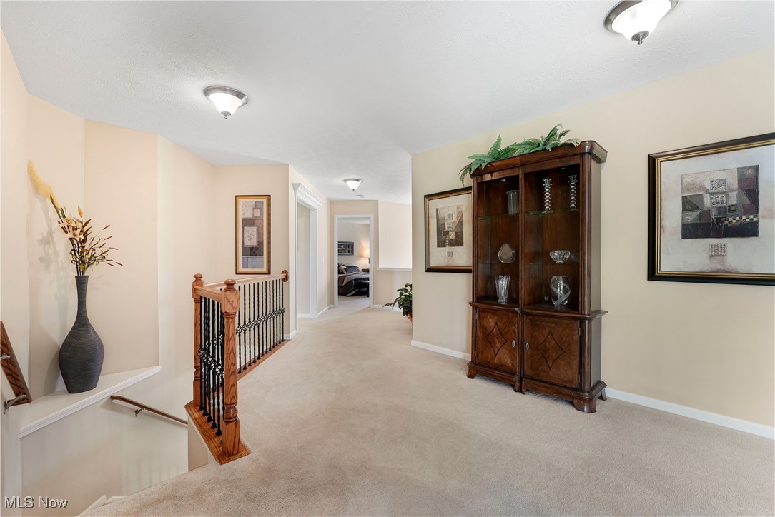 1486 Park Ridge Avenue, Twinsburg, Ohio image 18