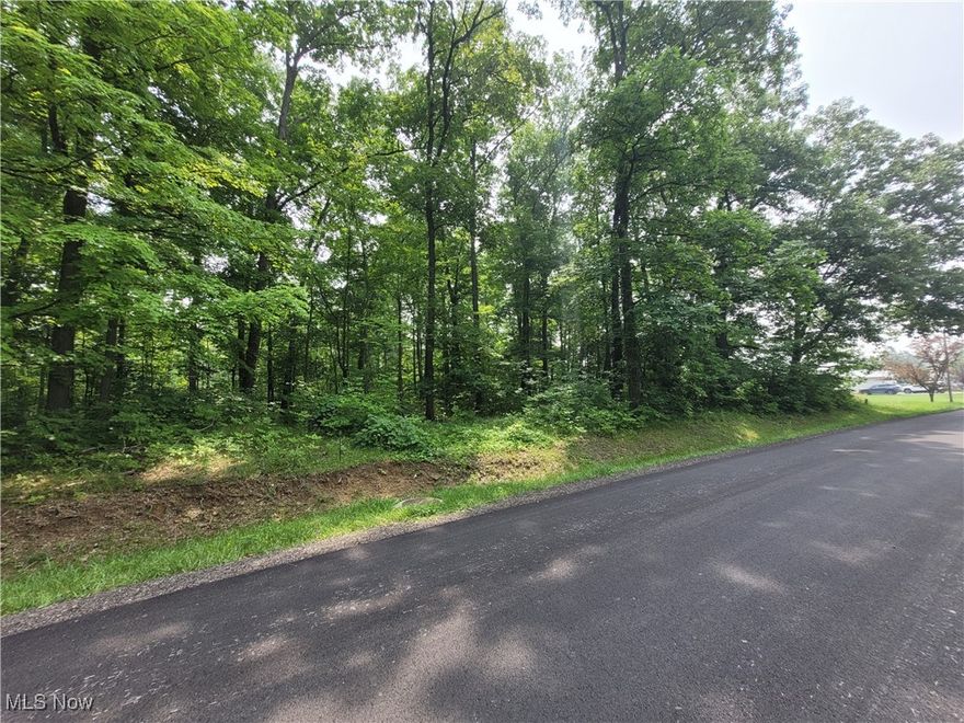 Cinnamon Lake is located in the scenic heart of Ohio Amish country. Situated in the Northeastern part of Ashland County just outside of West Salem. Over 1200 acres encompass the private development which includes over 200 acres of common areas and a 135 acre lake that only allows non-gas engines which makes the lake one of the quietest.  Kayaks, canoes and other non-powered watercraft are also allowed.  In addition, Cinnamon Lake has a sand filled beach in front of the lodge.  Other amenities that members have access to include a 4,500 sq. ft. lodge with concession stand, restrooms and showers – it’s a great place to hold large events such as weddings, receptions, birthday parties, etc.  Members enjoy a swimming pool, basketball courts, tennis courts, sand volleyball & a playground. Wet & dry docks for use are available for a fee to members. Golf carts are allowed. The lake is stocked with Largemouth Bass, Bullheads, Saugeye, Crappie, & Yellow Perch to name a few! The north side of the lake has a softball field with restrooms and there are pavilions and picnic areas for members to use, and a full service campground with electric and water hookups.  Cinnamon Lake is a short 7 minute drive from West Salem, 20 minutes from Ashland, 90 minutes from Columbus, and 1-hour from Cleveland.  Less than 10 minutes from Dragway 42.