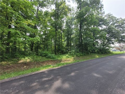 Vacant Land For Sale - 1246 Laurel Drive<br/> Ashland County, West Salem, OH 44287