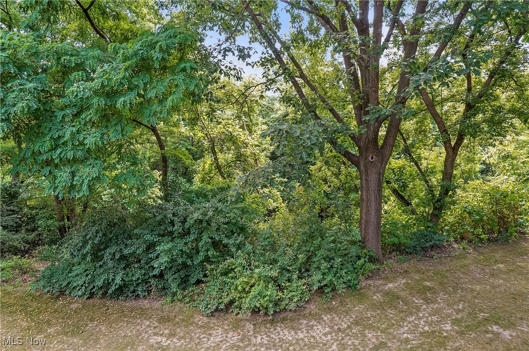 Ledgewater Falls Condo - Residential