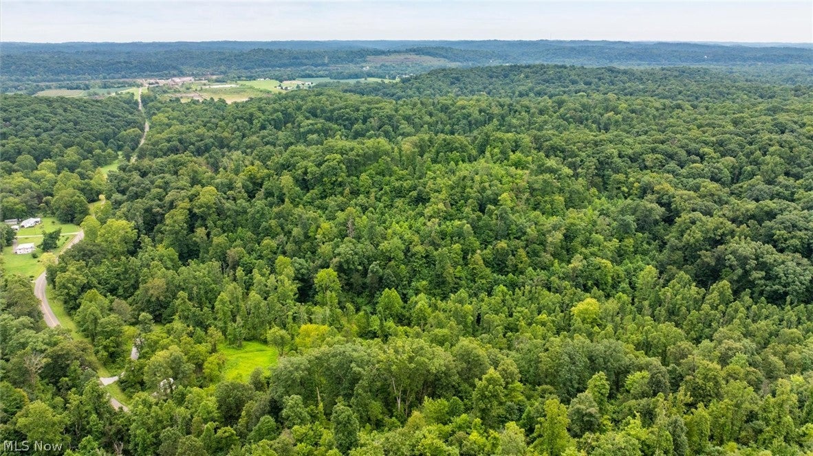 0 Bald Knob Stiversville Road