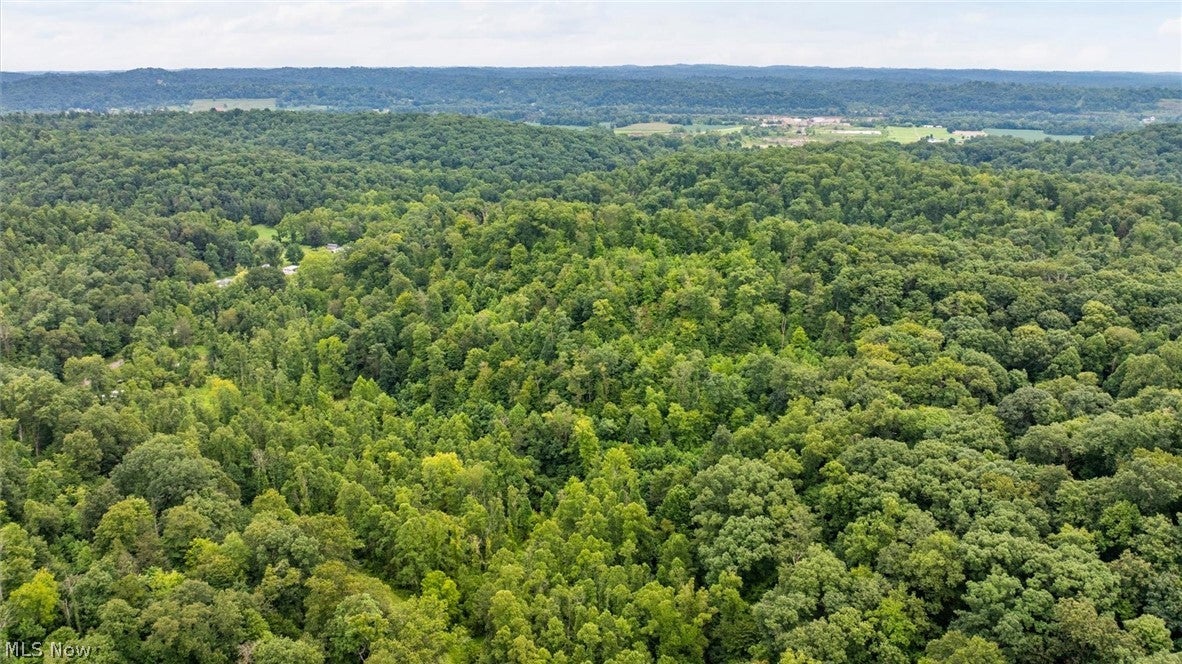 0 Bald Knob Stiversville Road