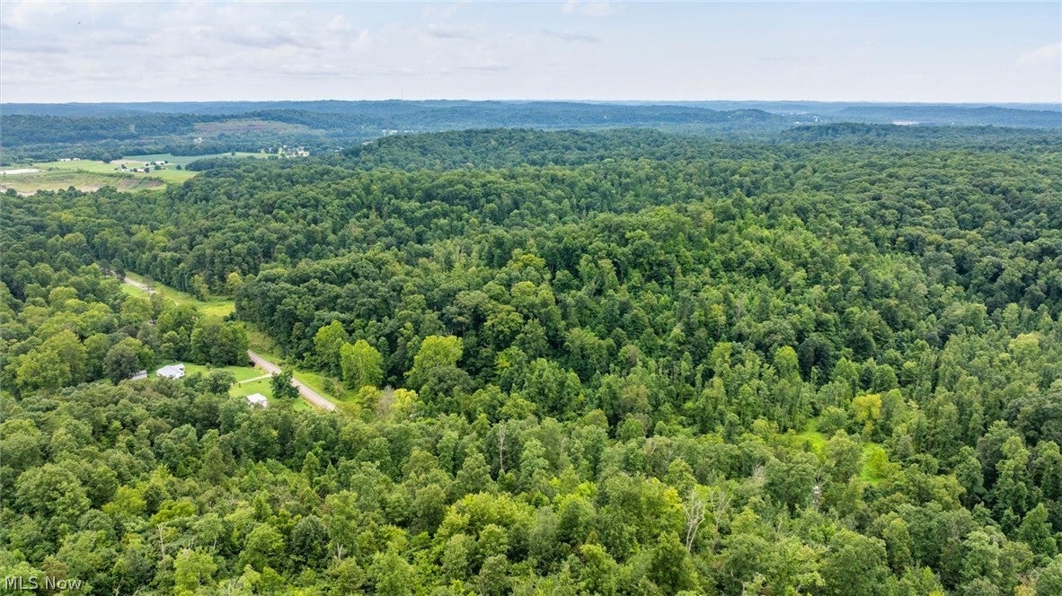 0 Bald Knob Stiversville Road