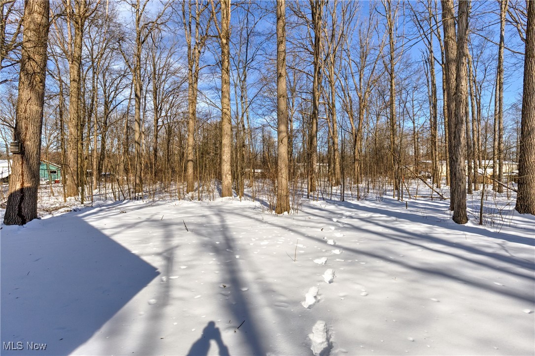 Playland Lake Park - Residential