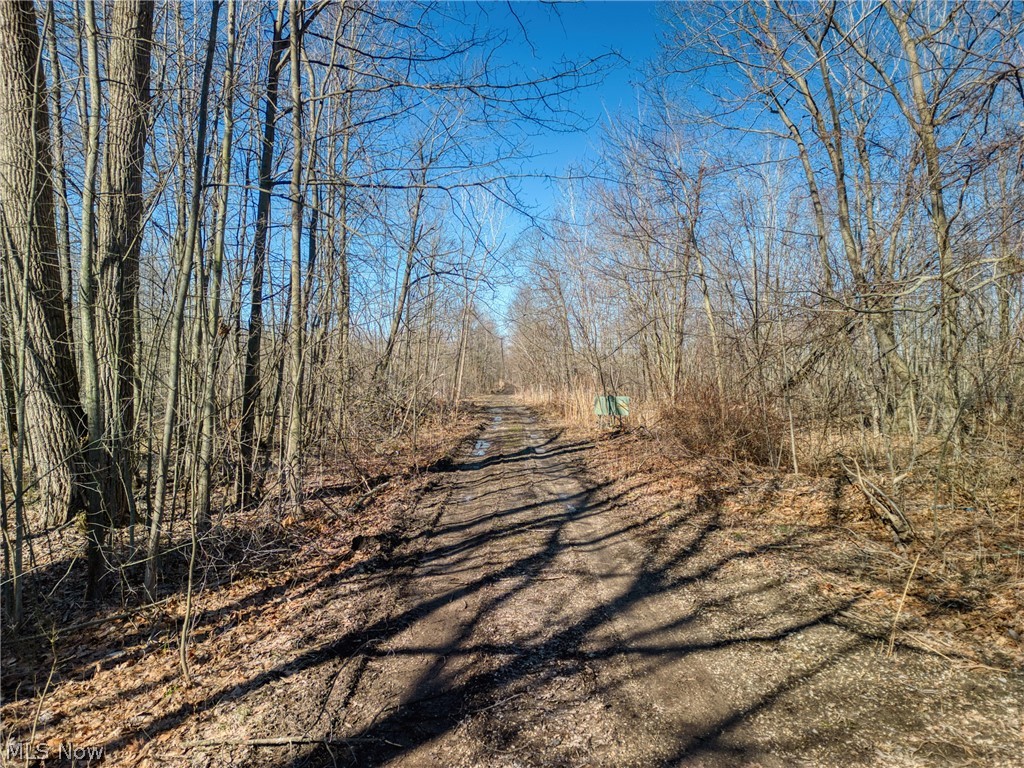 County Line Road