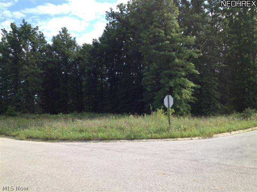 Awesome buildable lots in newer Development with underground utilities and other fine homes! 8 lots to select from! Some lots are cleared and some lots have trees, select your own lot! Rectangular lots, cul de sac lots and corner lot to select from! There are no building restrictions recorded nor an active HOA on record from developer who is no longer developing; these are bank owned, lots with underground public utilities.