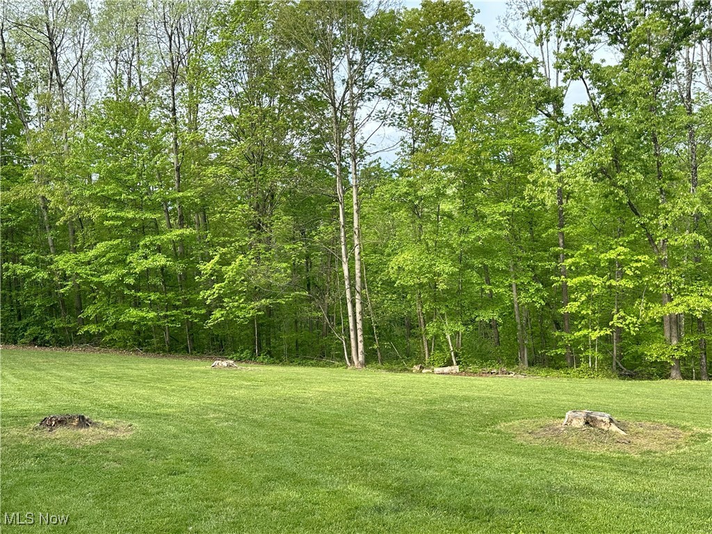 29530 Marr Road, Lower Salem, Ohio image 21
