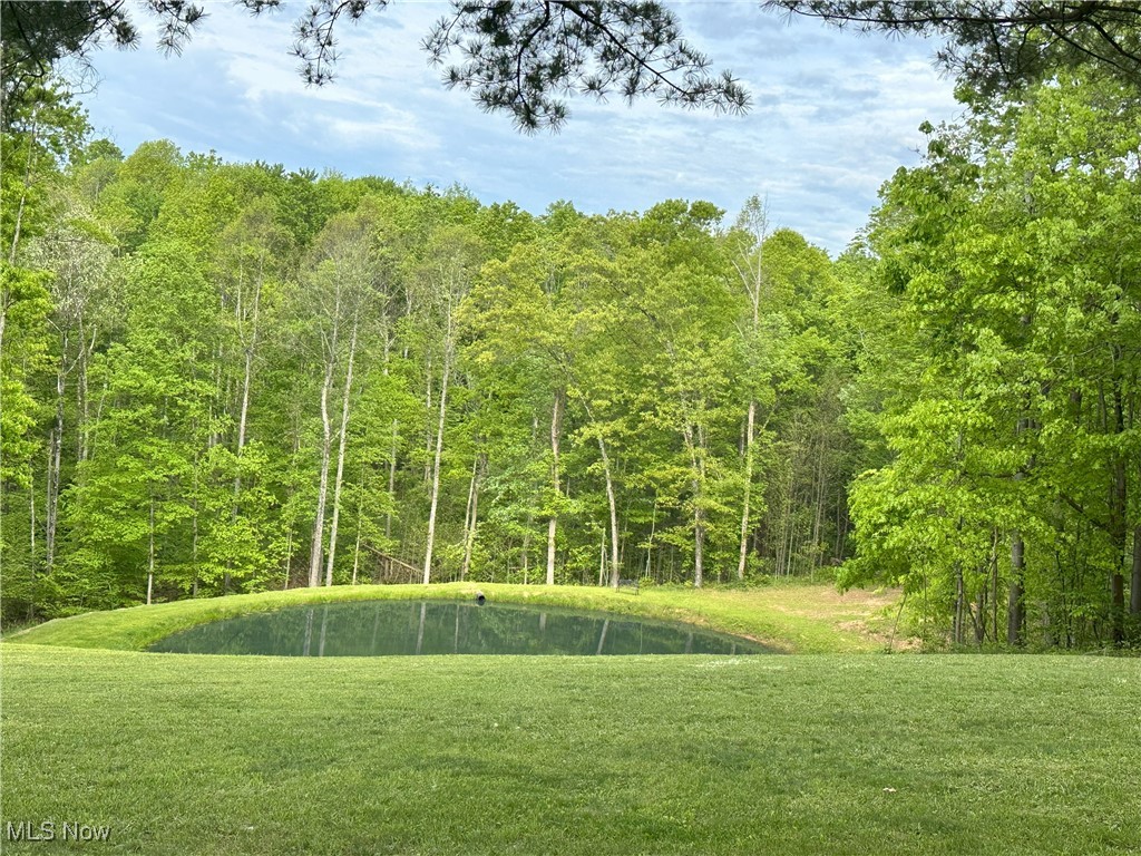 29530 Marr Road, Lower Salem, Ohio image 13