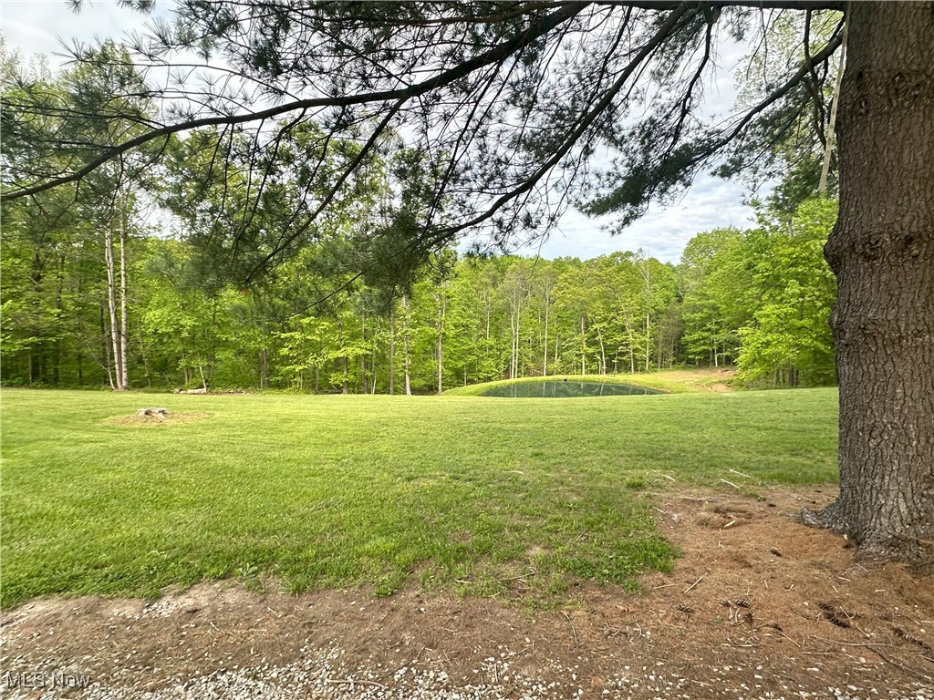 29530 Marr Road, Lower Salem, Ohio image 16