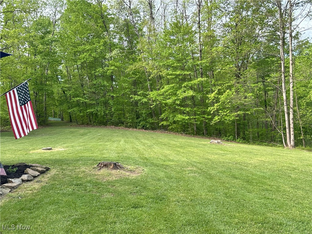 29530 Marr Road, Lower Salem, Ohio image 23