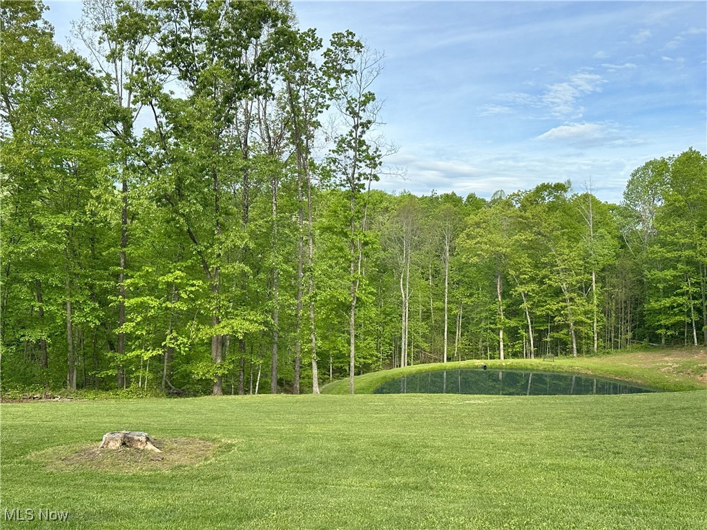 29530 Marr Road, Lower Salem, Ohio image 20