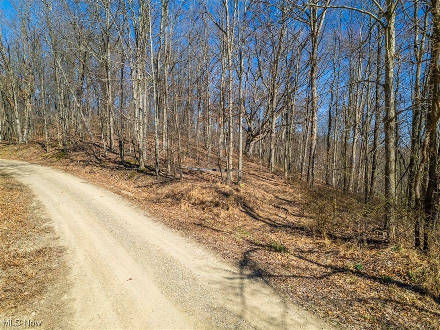 Auction 4/29- : Attention outdoor enthusiasts and nature lovers! Prepare yourself for an unforgettable auction experience! 619 acres of premier hunting and recreational land in Coshocton & Guernsey Counties. The property is situated in a prime hunting area and is home to an abundance of wildlife, including deer, turkey, and small game. Whether you're a seasoned hunter or just looking for a peaceful escape, this property has something for everyone. This beautiful all-wooded property has potential building sites, making it a great investment opportunity for those looking for a retreat homestead or cabin site. The land also boasts mature timber, offering additional potential for investment. There are numerous trails throughout and the land has frontage on multiple roads. The parcels range in size from 36 to 92 acres and offer the possibility for land groupings for those looking for large contiguous land tracts. Don't miss out on this rare opportunity to own a piece of excellent hunting an