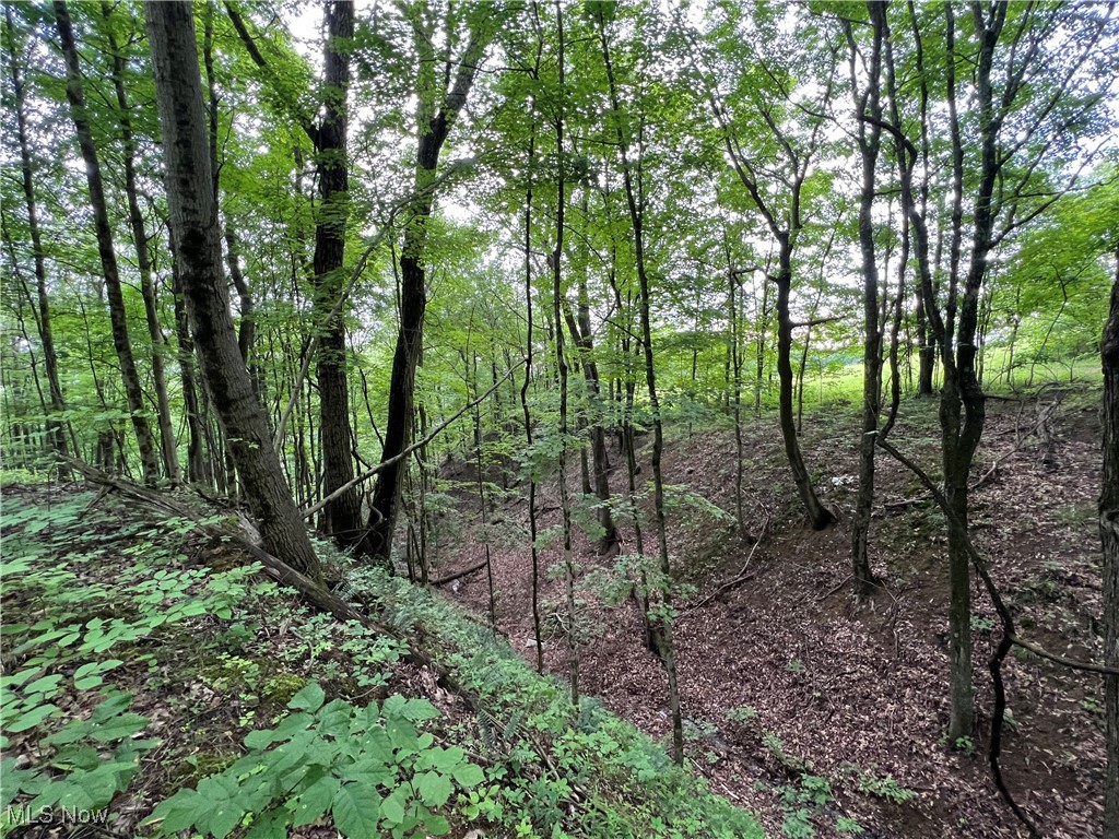 1565 Back Run Road, Philo, Ohio image 11