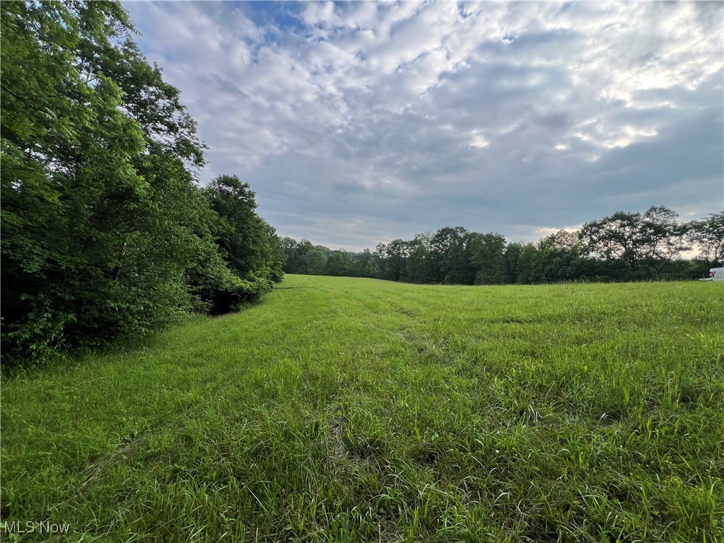 1565 Back Run Road, Philo, Ohio image 10