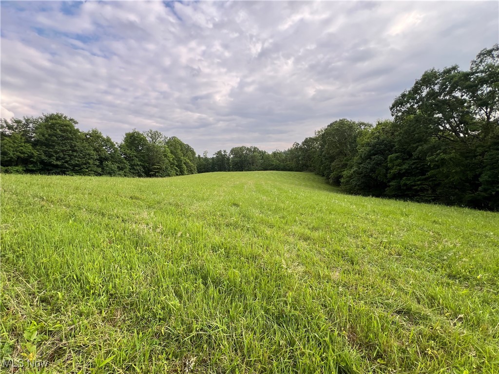 1565 Back Run Road, Philo, Ohio image 8