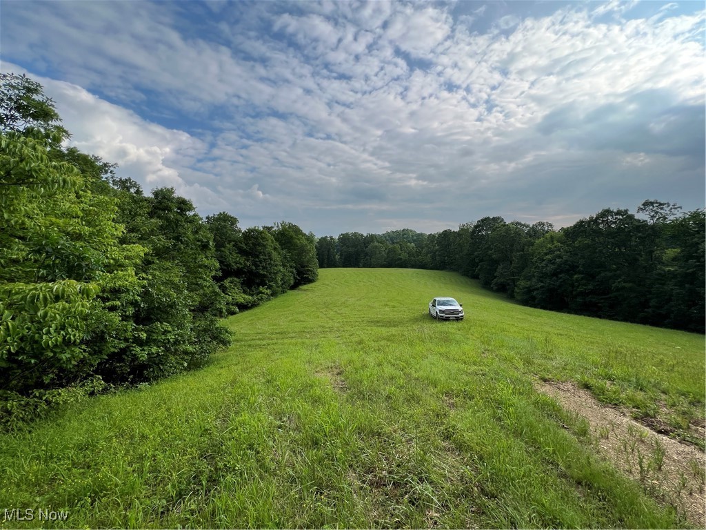 1565 Back Run Road, Philo, Ohio image 16