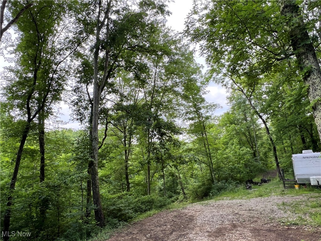 1565 Back Run Road, Philo, Ohio image 4